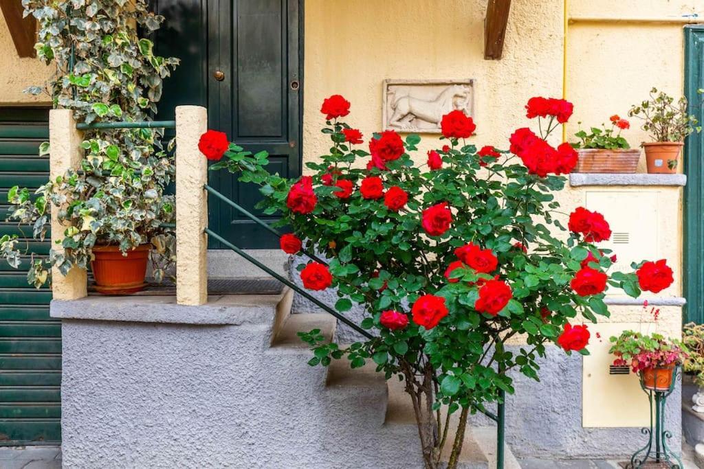 Relax Stay In A Typical Milan Courtyard - Navigli Eksteriør bilde